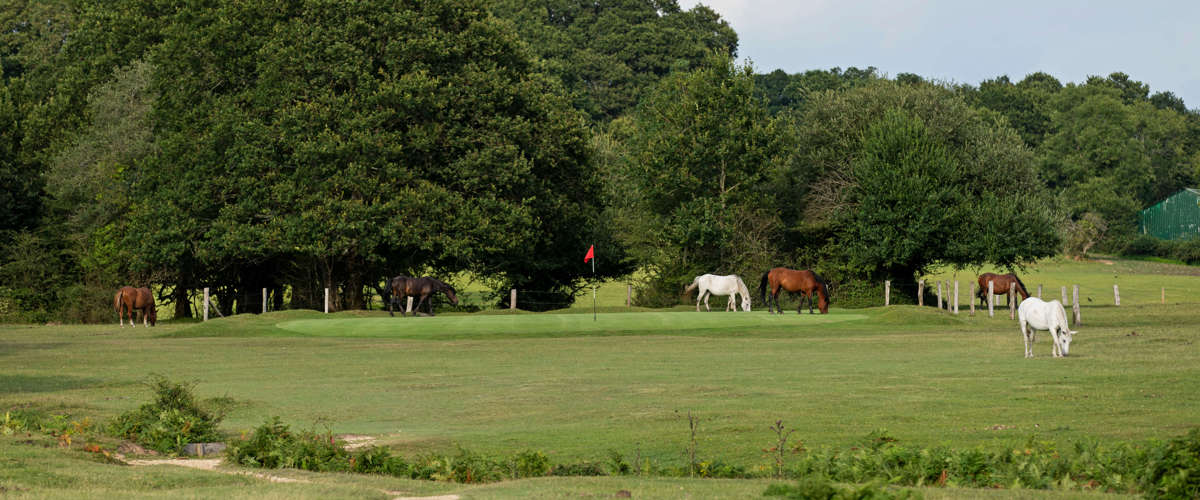 Bramshaw Golf Club to host PGA Benevolent Fund Captain’s Day - Entries are now open